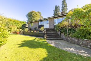 Photo 1- click for photo gallery